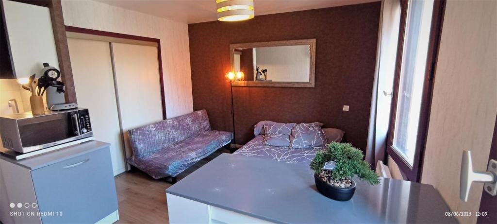ein kleines Wohnzimmer mit einem Sofa und einer Mikrowelle in der Unterkunft STUDIO hyper-centre de LIMOGES in Limoges