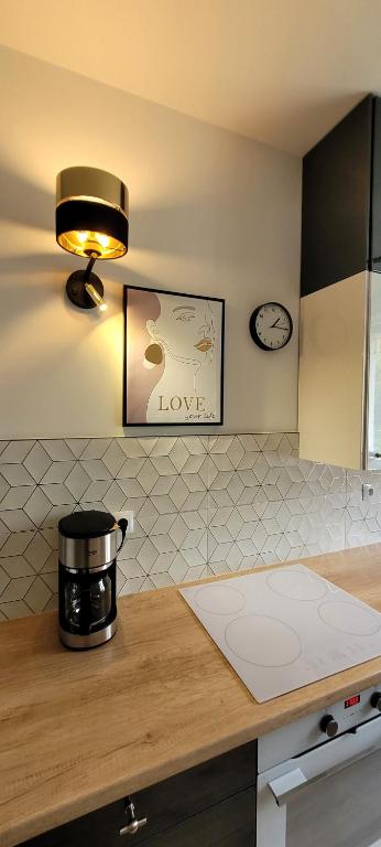 Kuchyňa alebo kuchynka v ubytovaní Apartament Przy Bocznej