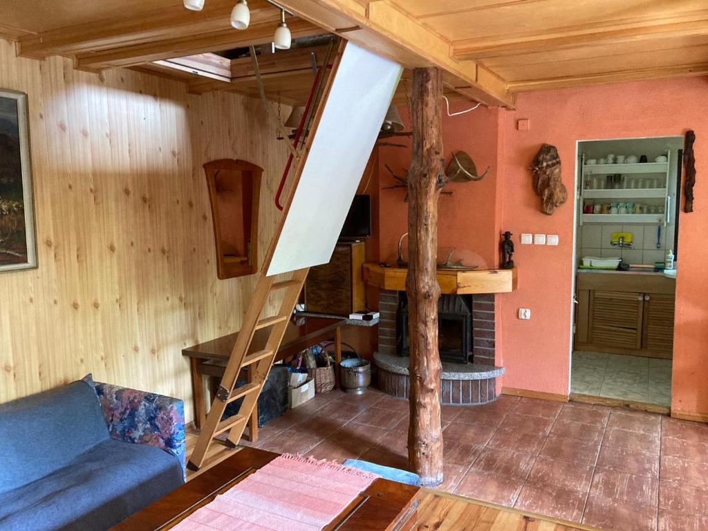 a living room with a ladder in a house at Glampspace - Wikingówka in Międzybrodzie Bialskie