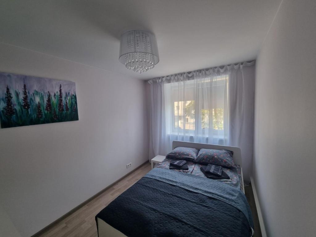 een kleine slaapkamer met een bed en een raam bij Park Alice Apartment in Liepāja
