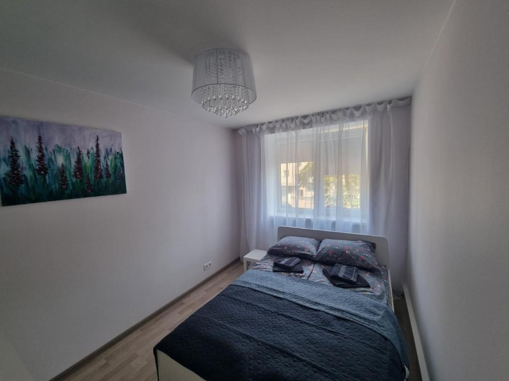 a small bedroom with a bed and a window at Park Alice Apartment in Liepāja