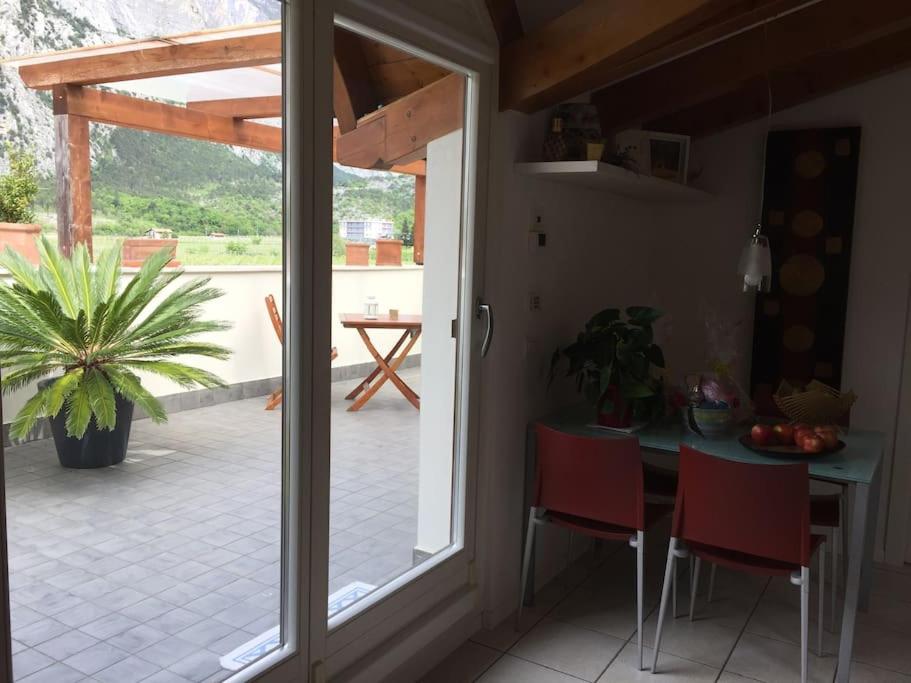 Zahrada ubytování casa SOFIA (cipat022079-AT-012217)