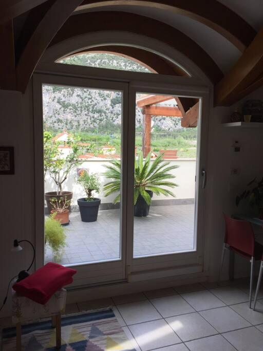 Zahrada ubytování casa SOFIA (cipat022079-AT-012217)
