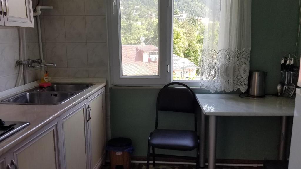 Kuchyň nebo kuchyňský kout v ubytování Guest House Green Rose