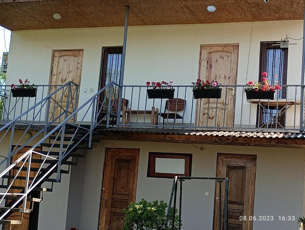 Guest House Ariadna - отзывы и видео