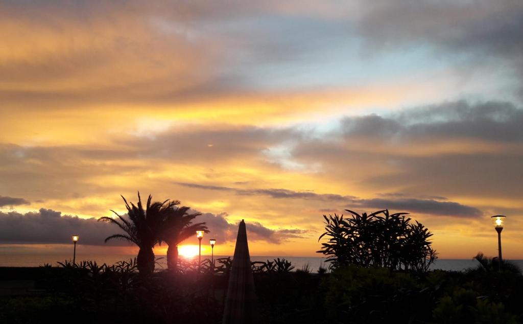 a sunset over the ocean with a palm tree at PARENTHÈSE NATURE in Canet-en-Roussillon