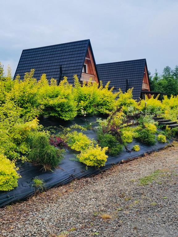 un giardino con piante gialle e una casa sullo sfondo di Bies-Czaderskie Chaty a Ustrzyki Dolne