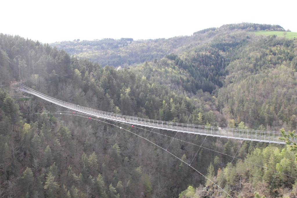 a suspension bridge in the middle of a forest at La ch&#39;tiote meizou in Mazet-Saint-Voy