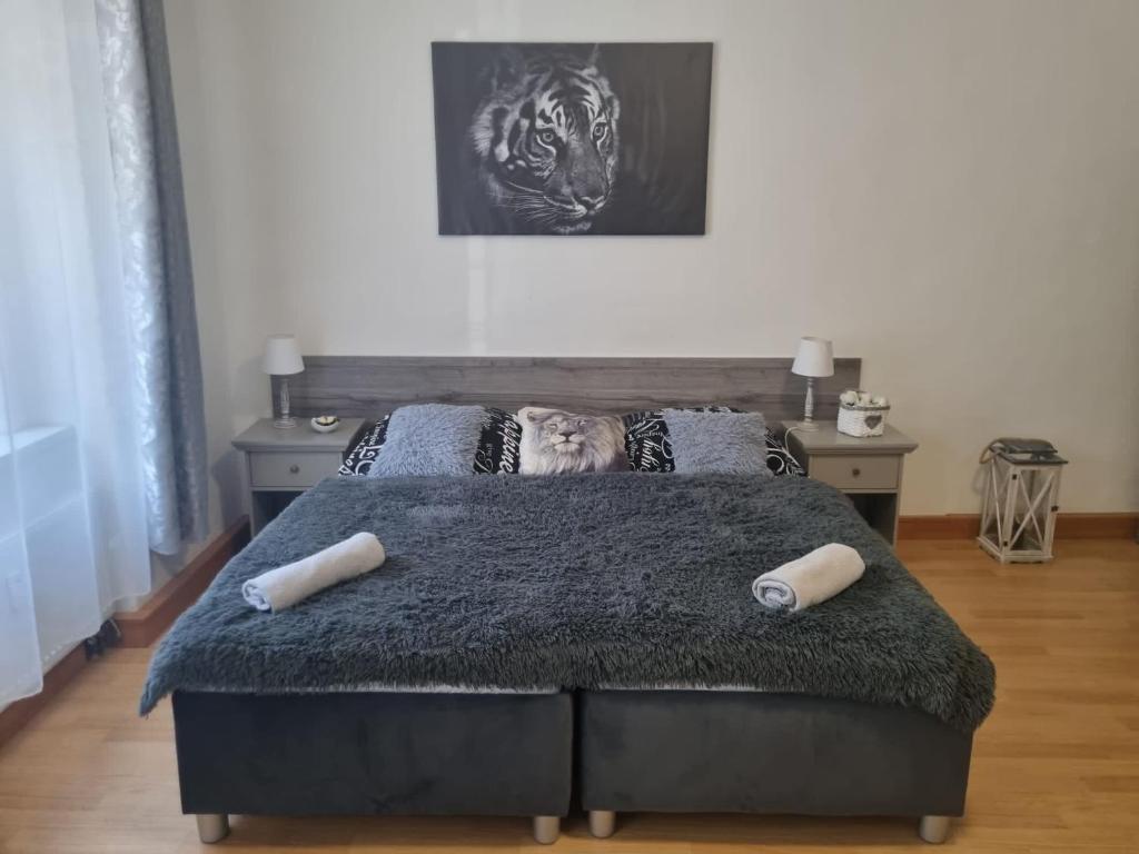 Černý Tulipán - Apartmán 1 - 4