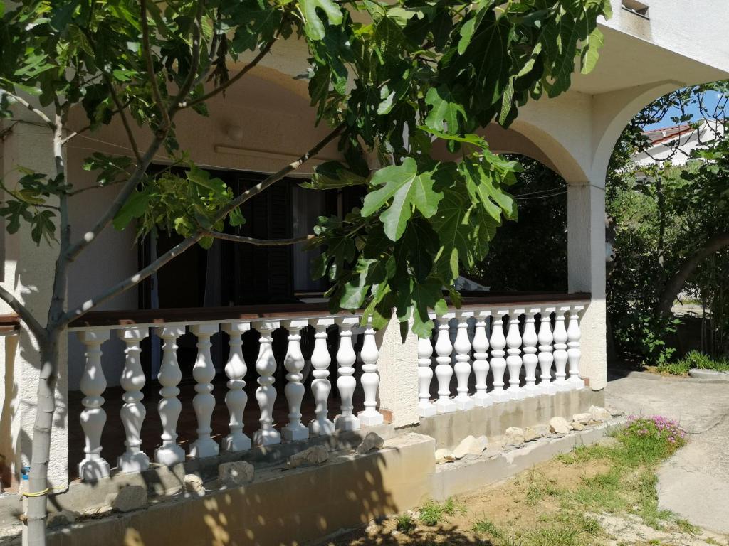 Zahrada ubytování Apartments MINT Povljana - 50m from sandy beach