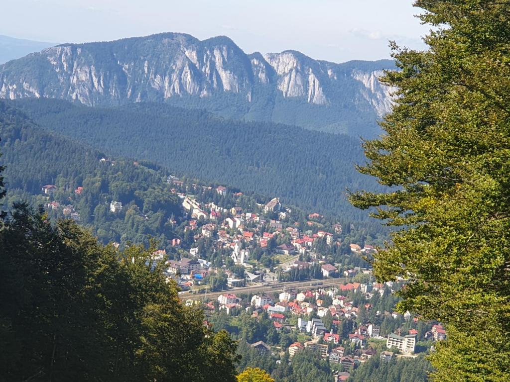 a town in a valley with mountains in the background at Vero Residence Predeal in Predeal