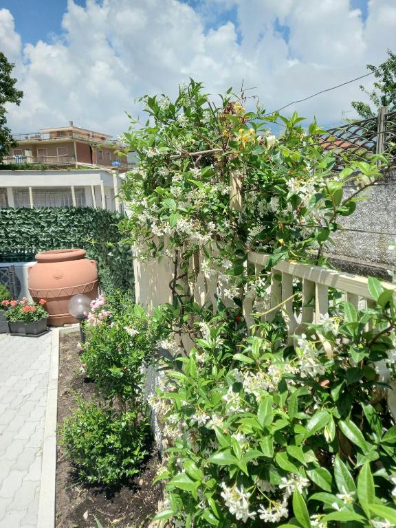Zahrada ubytování Parco dei Gerani - Il monolocale e la camera - Room and Studio