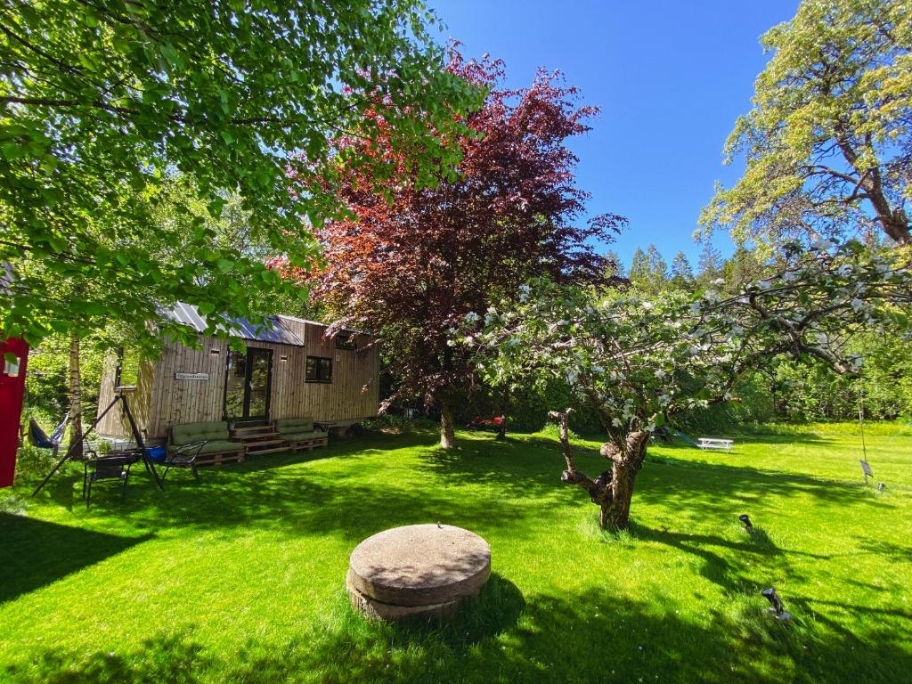 Tiny house - idyllic accommodation - Maison D'une Chambre