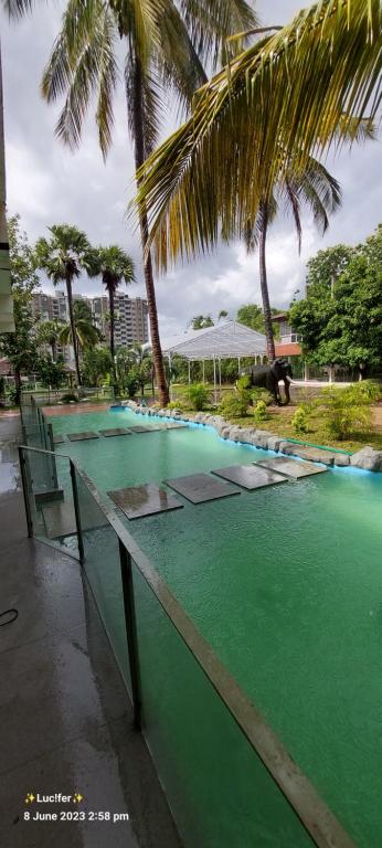a pool of green water with palm trees at Udaya Resort in Palakkad