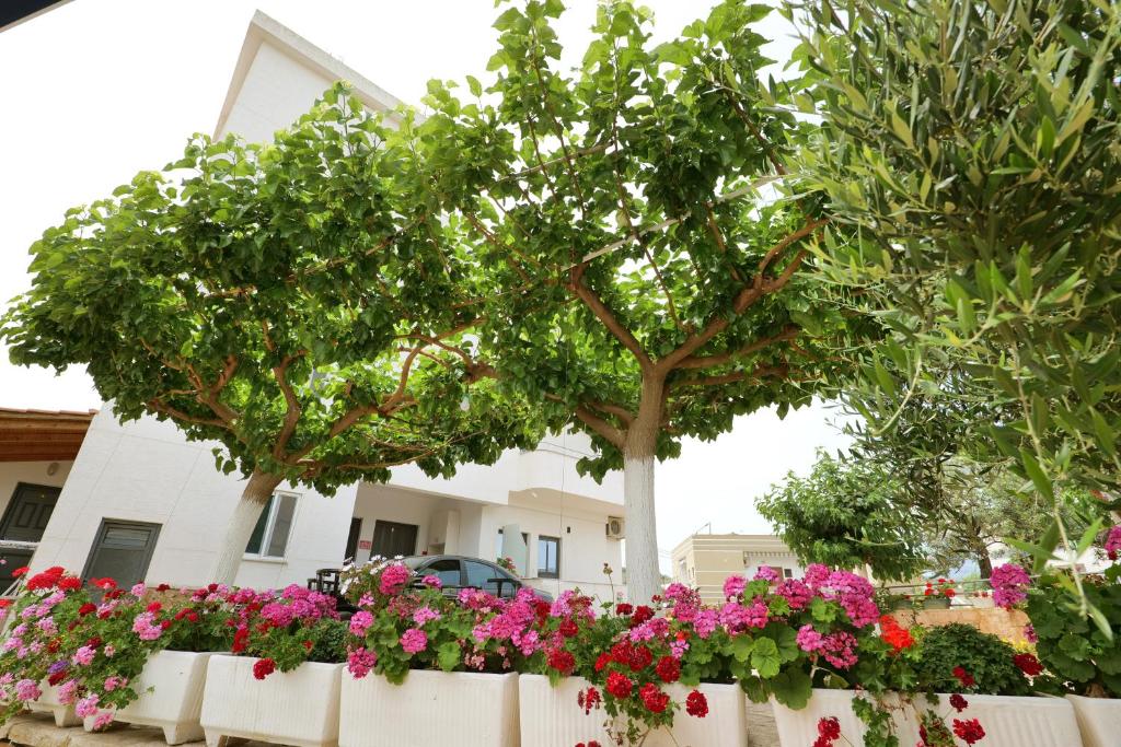 Zahrada ubytování Guest House Gerard