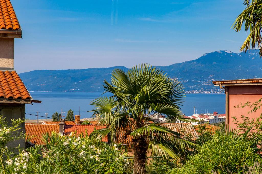 palma di fronte a vista sull'acqua di Villa Carolina a Fiume (Rijeka)