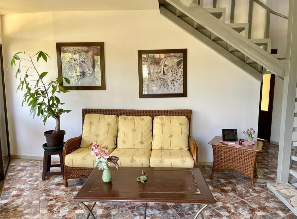 Posezení v ubytování Villa Pura Vida
