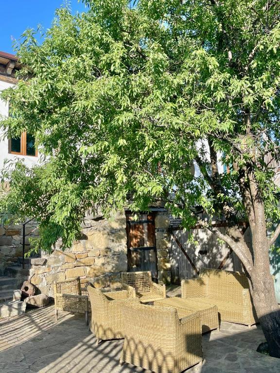 Zahrada ubytování Guest House Savane