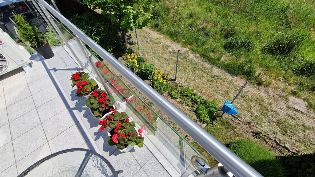 Apartamenty Rodzinne - 13