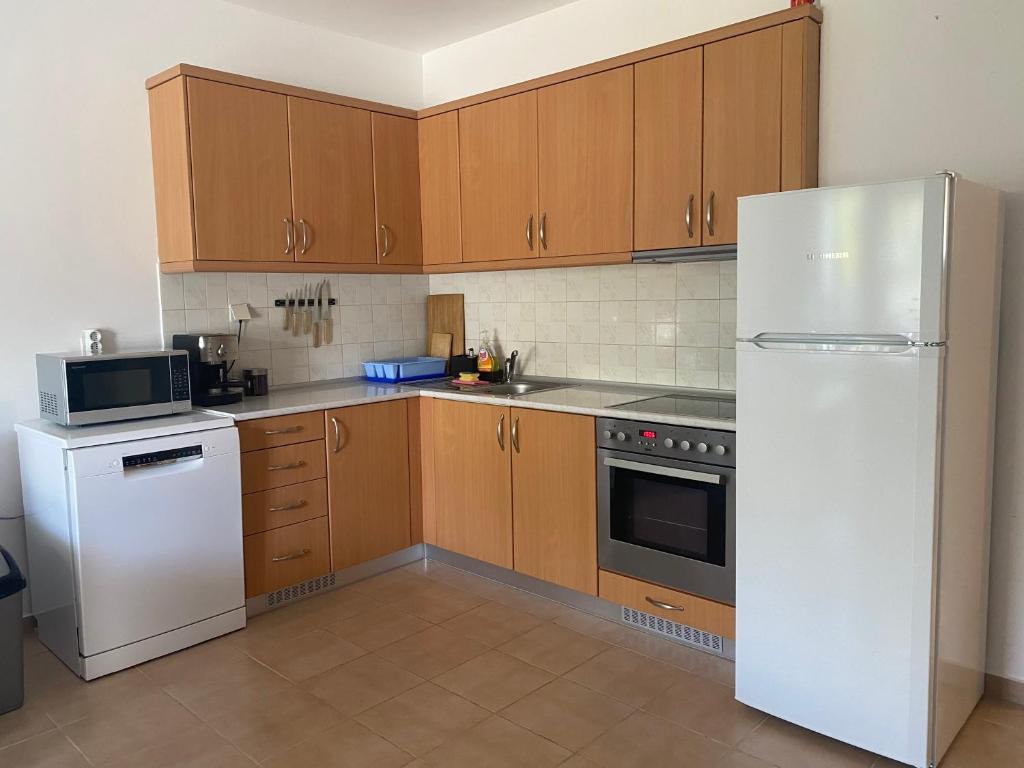 Kuchyň nebo kuchyňský kout v ubytování Siviri Holiday Home