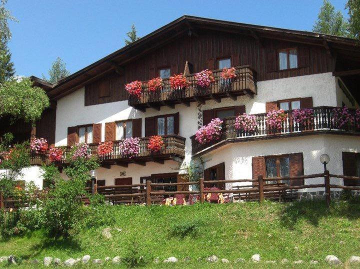 Zahrada ubytování Albergo Scoiattolo