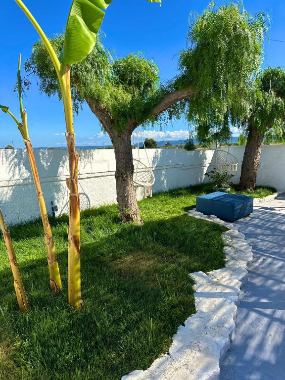 a palm tree in the grass next to a sidewalk at Villa Santo Stefano in Monopoli