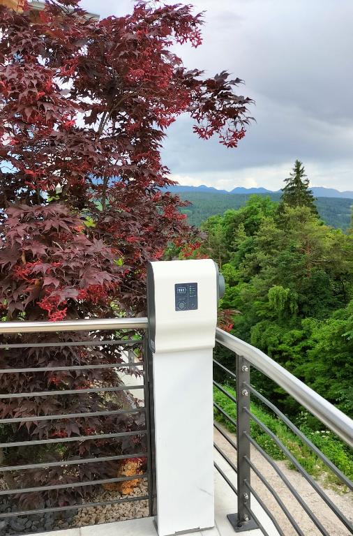Przyroda w pobliżu tego obiektu B&B