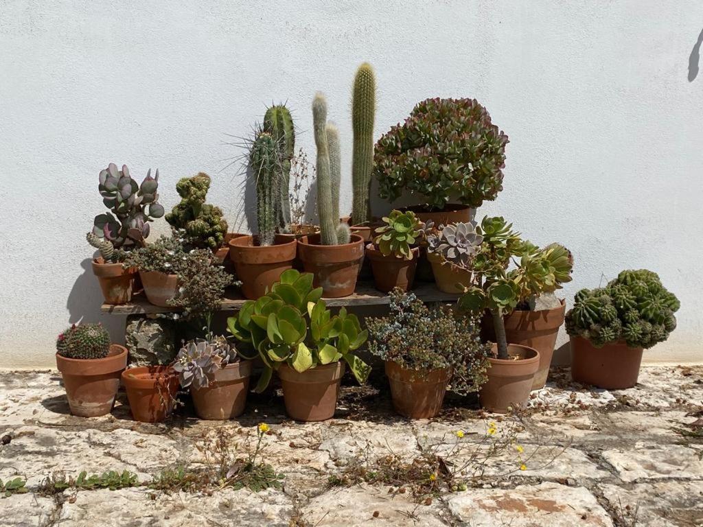 Fotografie z fotogalerie ubytování Casa GianRè v destinaci Monopoli