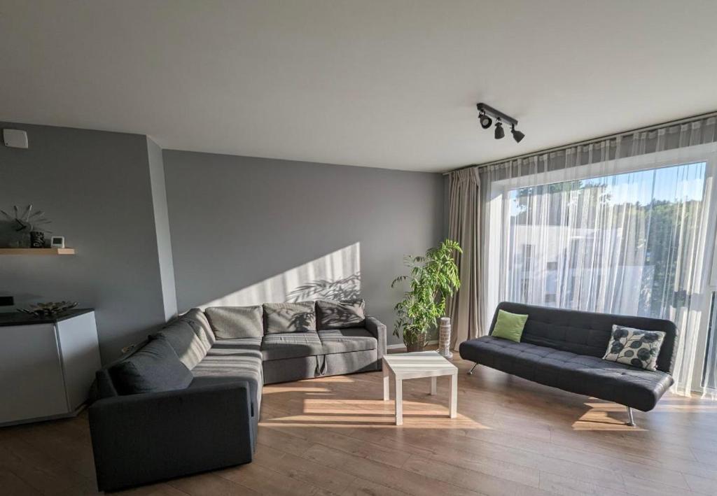 a living room with a couch and a table at Spacious and sunny apartment in Birstonas center in Birštonas