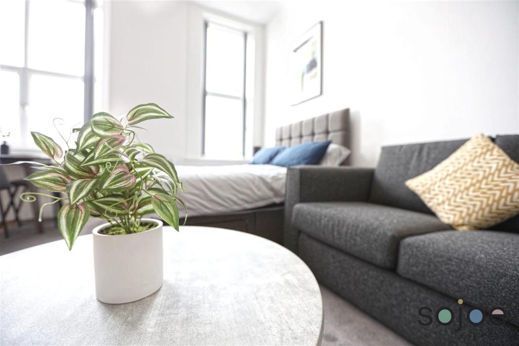 a living room with a couch and a table with a plant at Newly refurbished studio with harbour views in Lowestoft