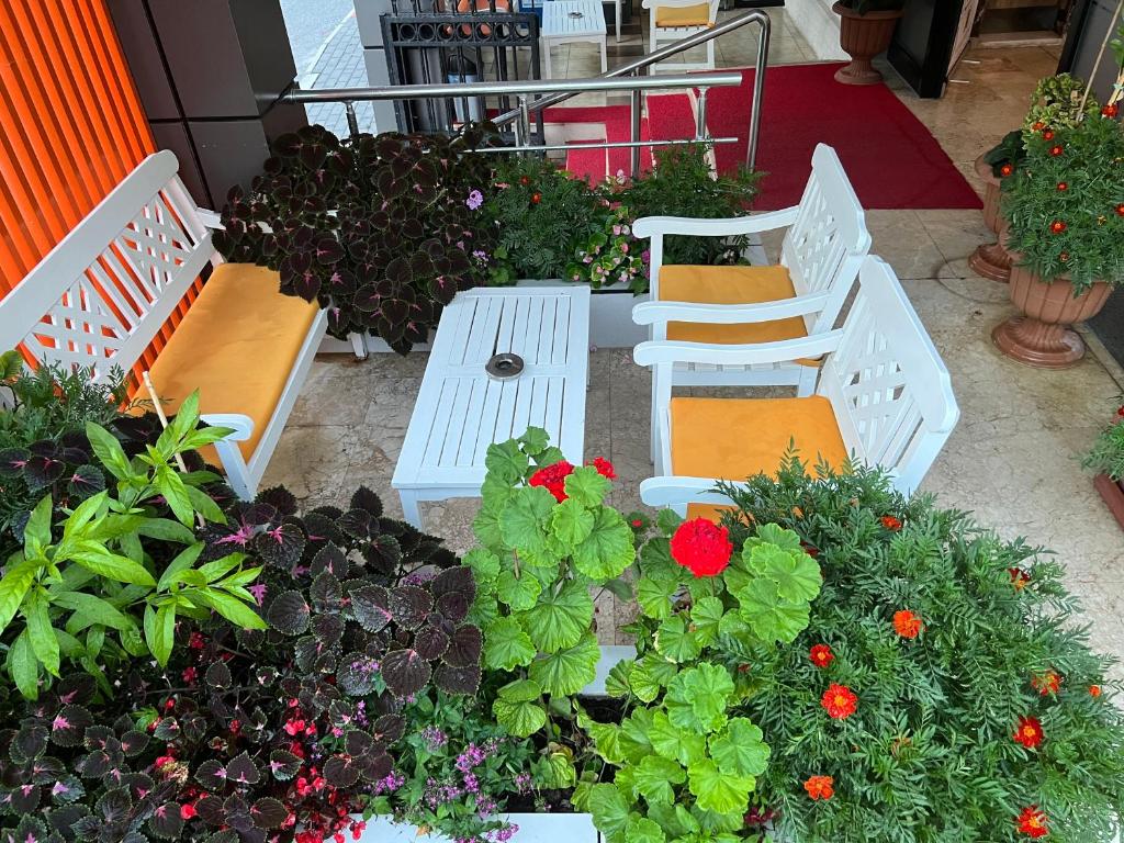 A garden outside Cleopatra King Apart