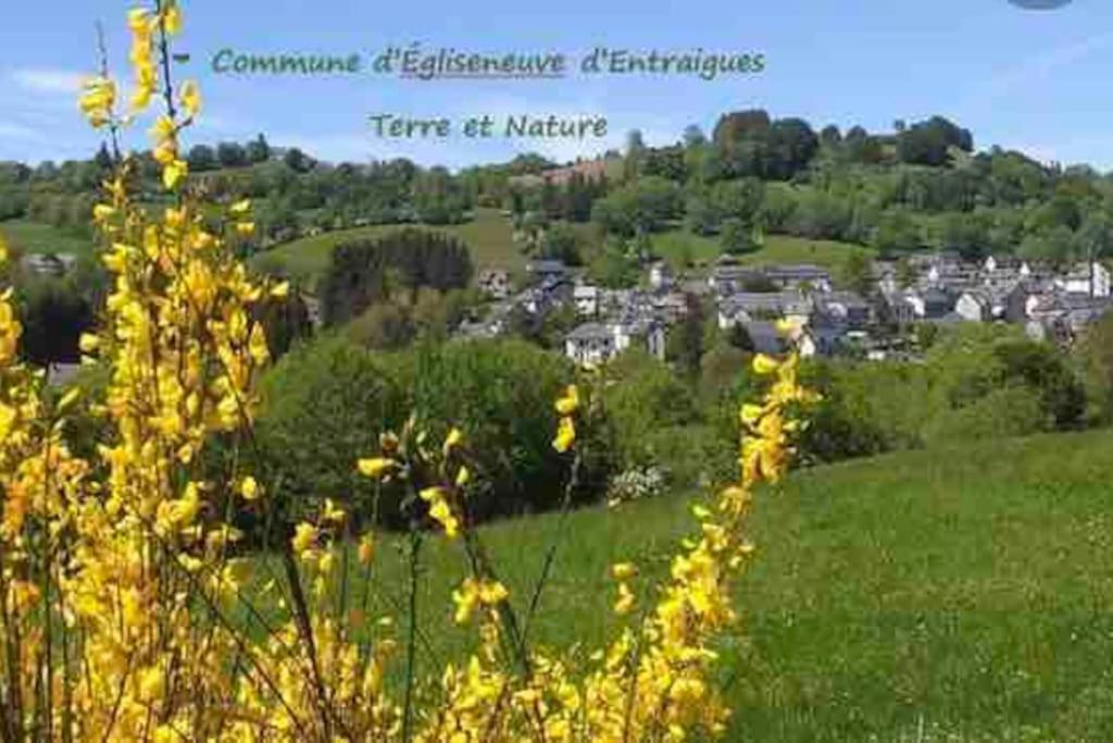 una vista de una ciudad desde un campo con flores amarillas en Appartement Dans un village en Auvergne sancy, en Égliseneuve-dʼEntraigues