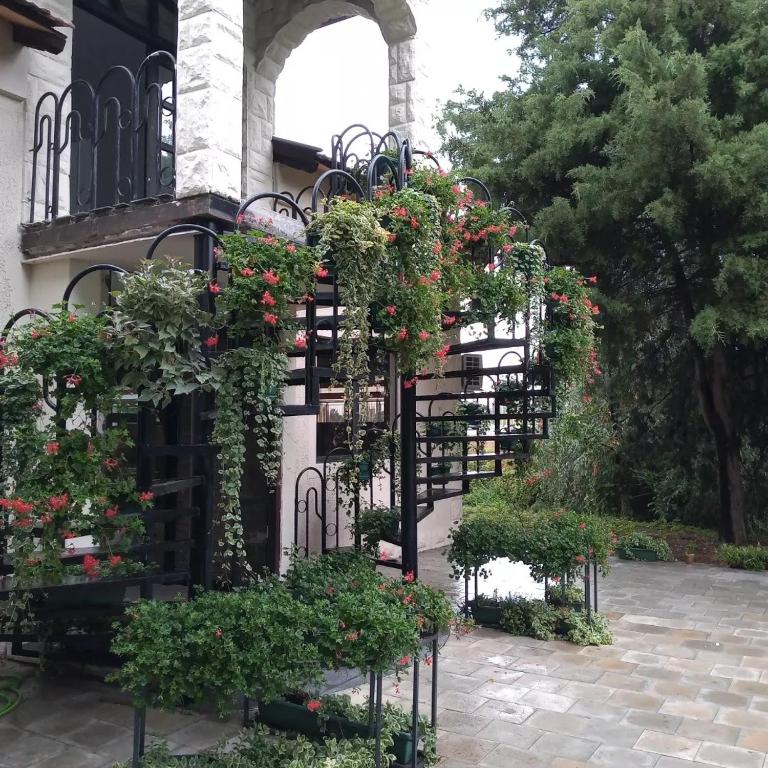 Zahrada ubytování Villa Artisan