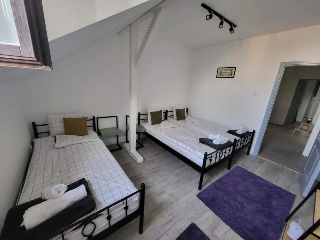 a room with two beds and a window at Villa Artisan in Sremski Karlovci