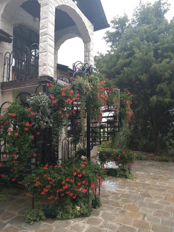 Zahrada ubytování Villa Artisan