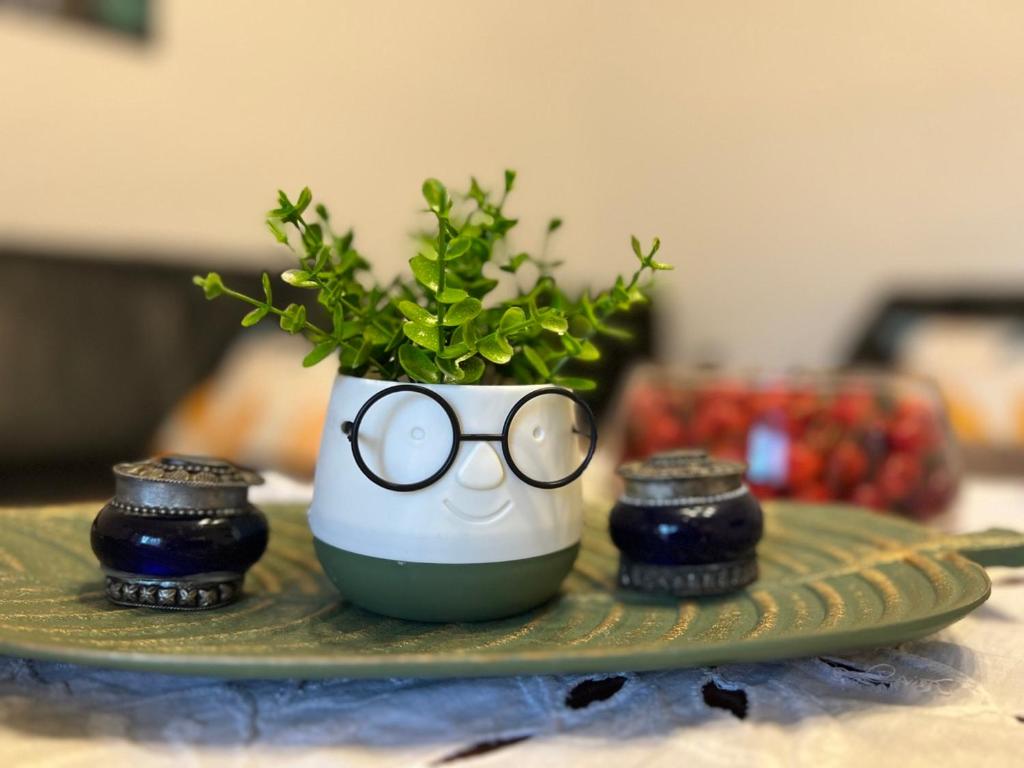 un plato verde con un jarrón con gafas y una planta en DALIA Apartment & Room en Mostar