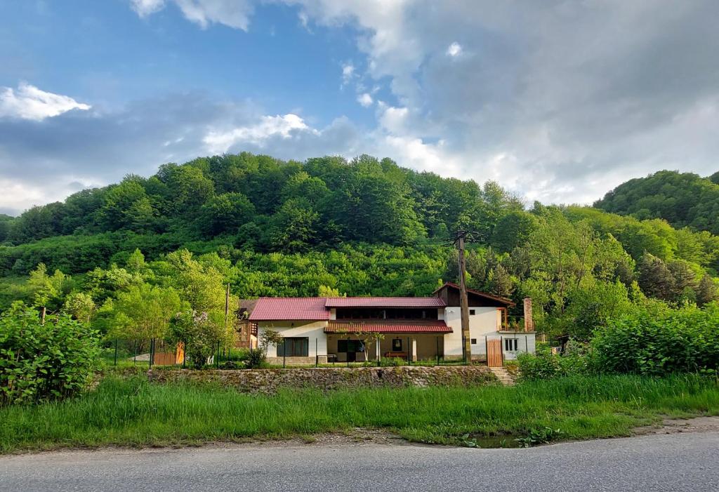 Transilvania 10 - Casa Poarta Văii Jiului في بيتروشاني: منزل جالس على جانب جبل