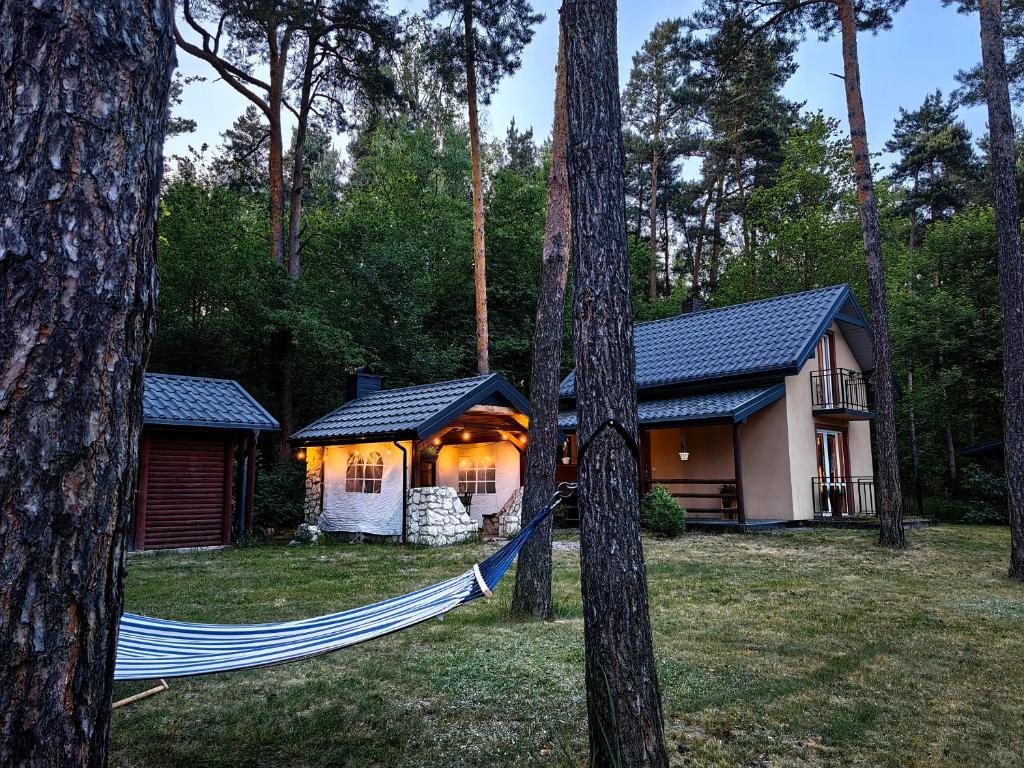 une maison dans les bois avec un hamac en face dans l'établissement Kajaki wino i śpiew - domek z sauną w otoczeniu lasów i sąsiedztwie zalewu, à Zakrzówek Szlachecki