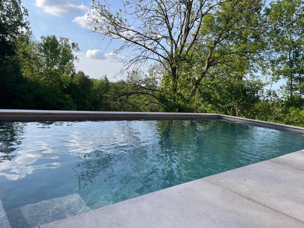 an empty swimming pool with trees in the background at La Canopée des Arbres, Anna in Ellezelles