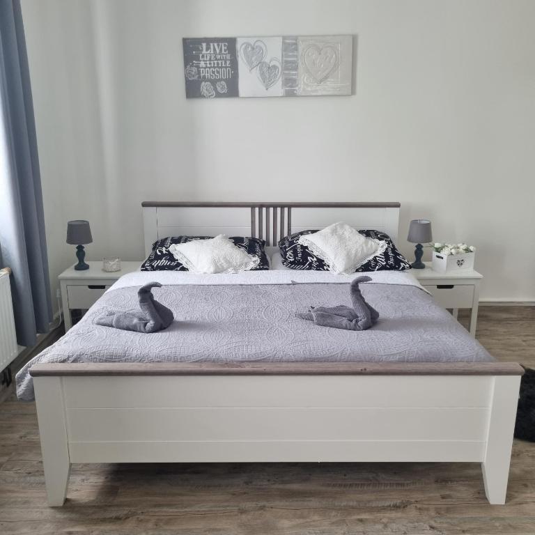 Černý Tulipán - Apartmán 4 - One-Bedroom Apartment