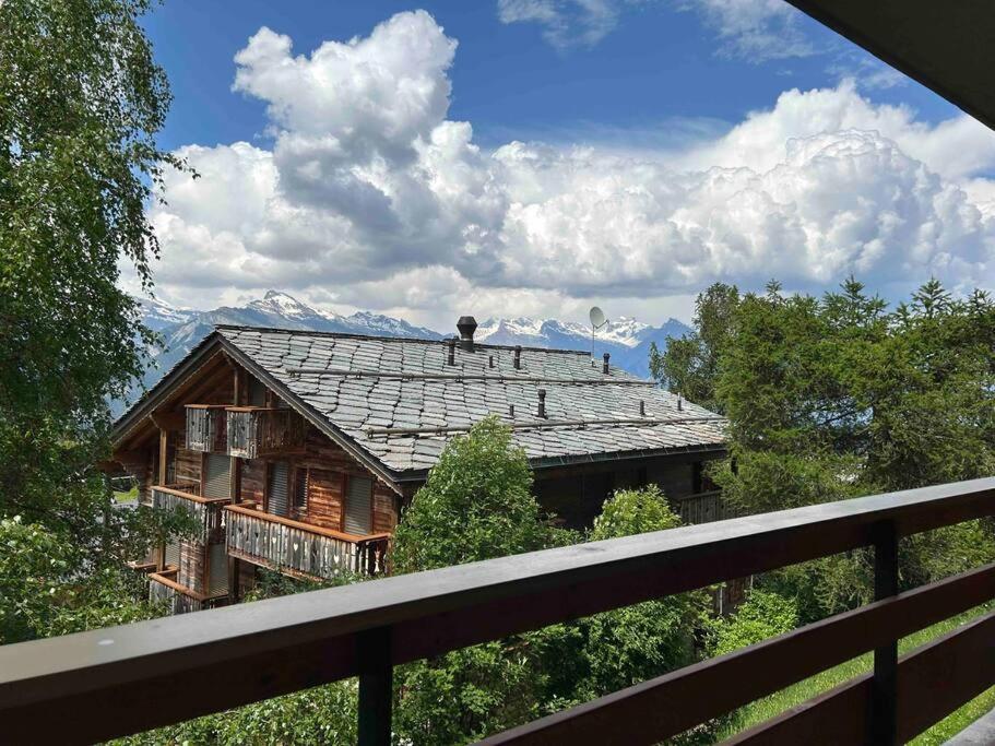 a house with a roof with mountains in the background at Appartement Haute-Nendaz in Nendaz