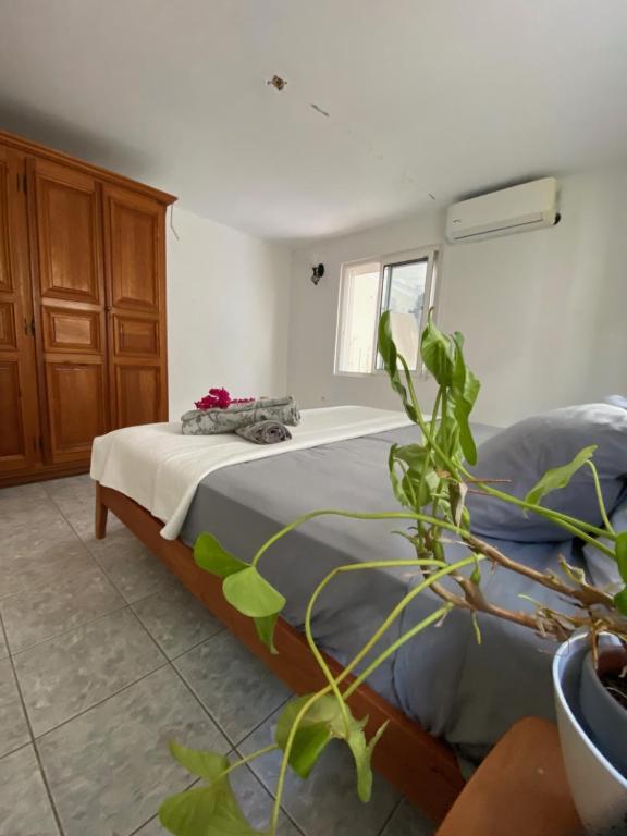 Postel nebo postele na pokoji v ubytování Grand Case Palace