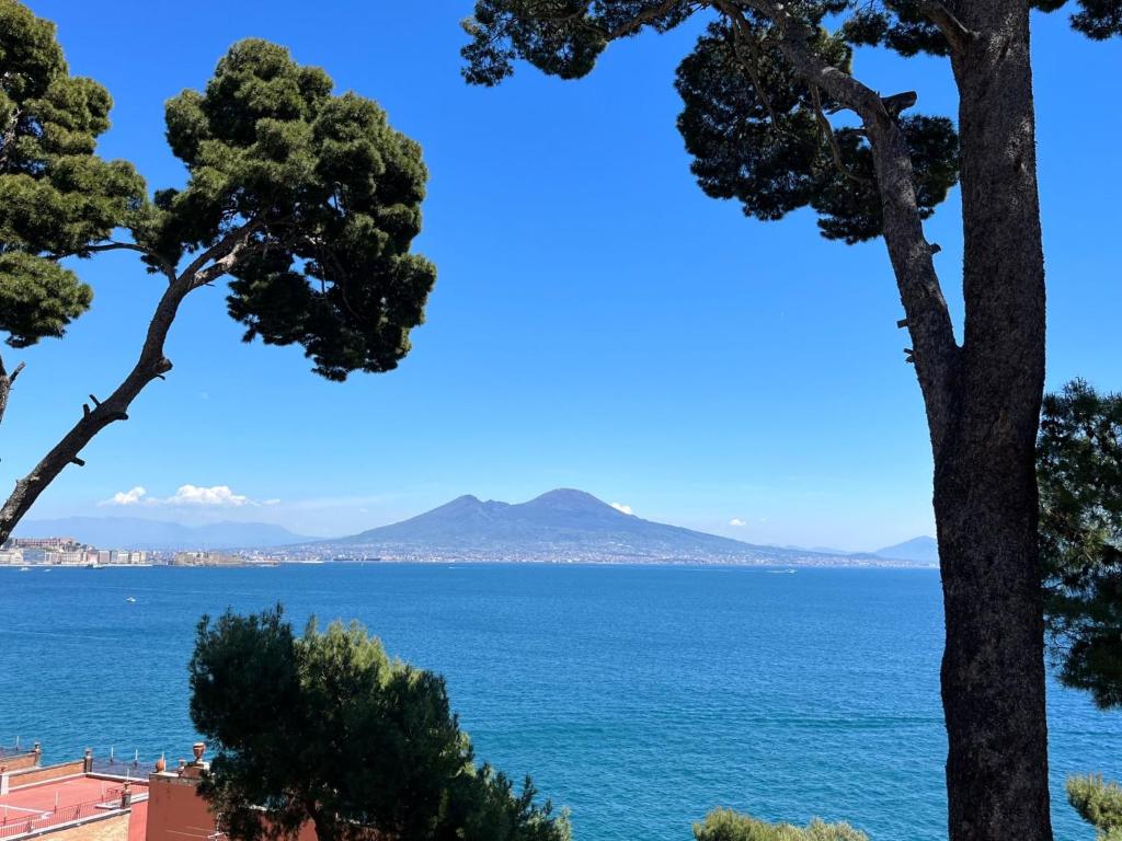 uma vista para o oceano de uma colina com árvores em Knight House em Nápoles