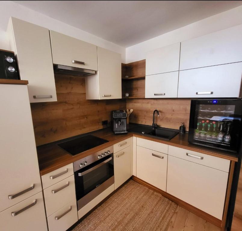 Kuchyň nebo kuchyňský kout v ubytování Landena Apartments Lendava