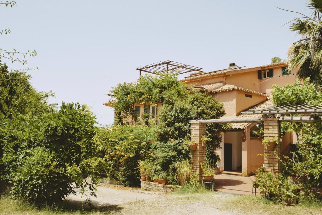 une maison avec beaucoup de plantes et d'arbres dans l'établissement Agroturistica Villa Mantineo, à Capo Vaticano