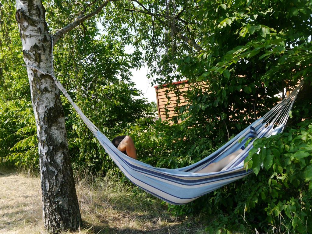 a person laying in a hammock in a tree at Familienurlaub auf dem Land - haustierfreundlich - 10 Minuten von Templin in Milmersdorf