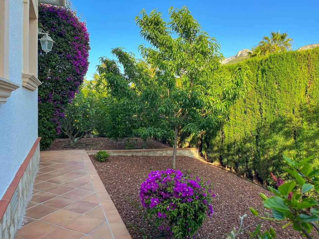 Vonkajšia záhrada v ubytovaní Villa El Sueno panoramico