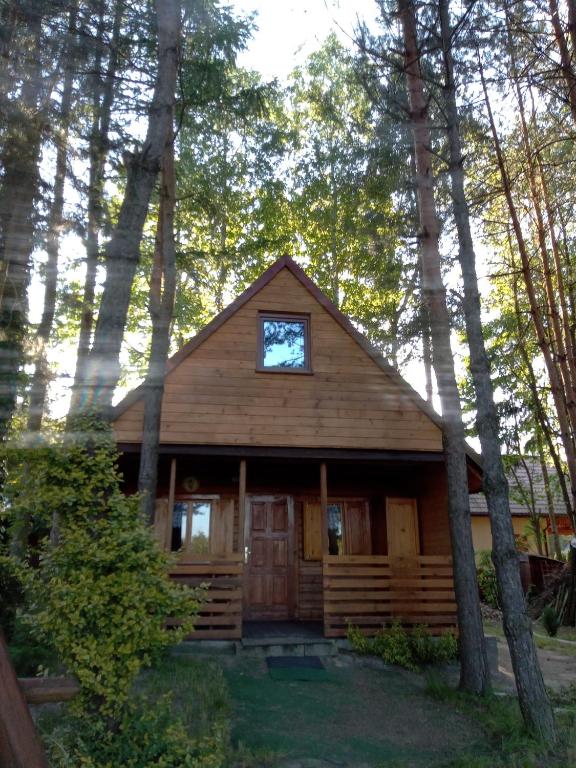 a log cabin in the woods with trees at Domek Dzięciołek in Życiny