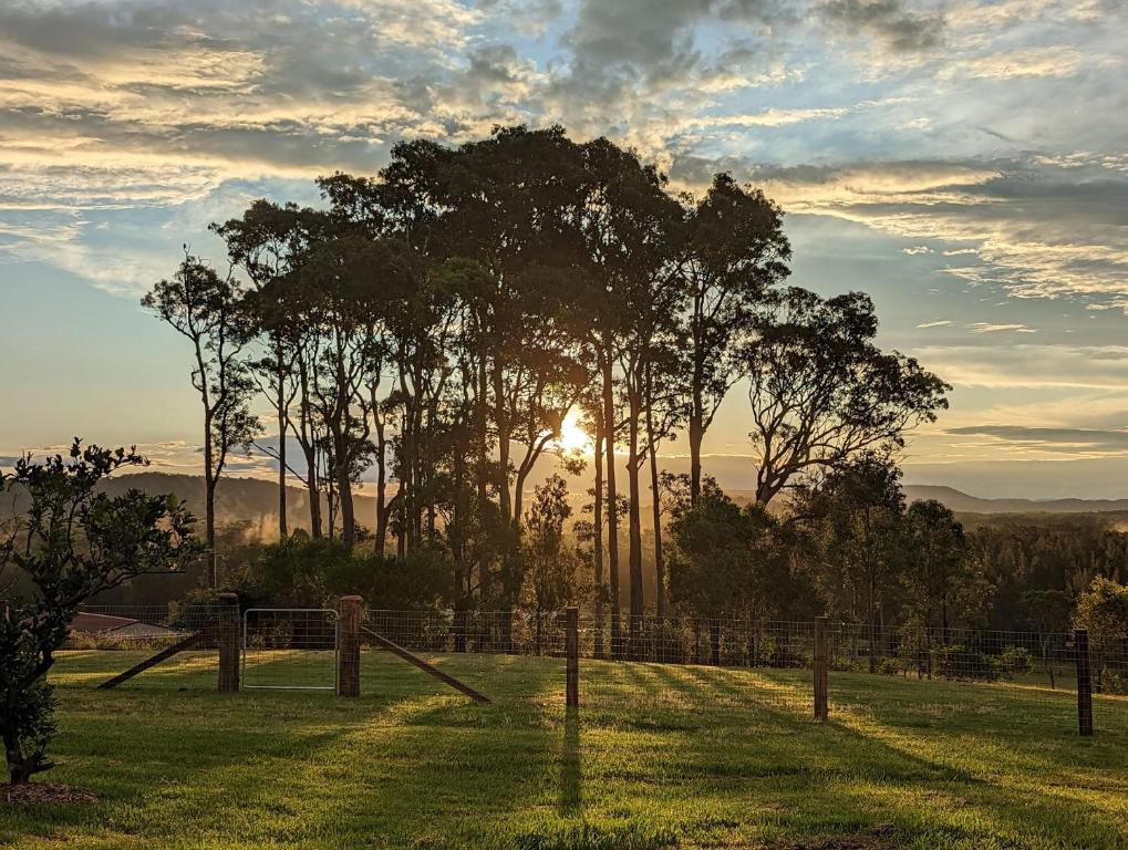 un grupo de árboles en un campo con la puesta de sol en el fondo en Byadbo en Tuncurry