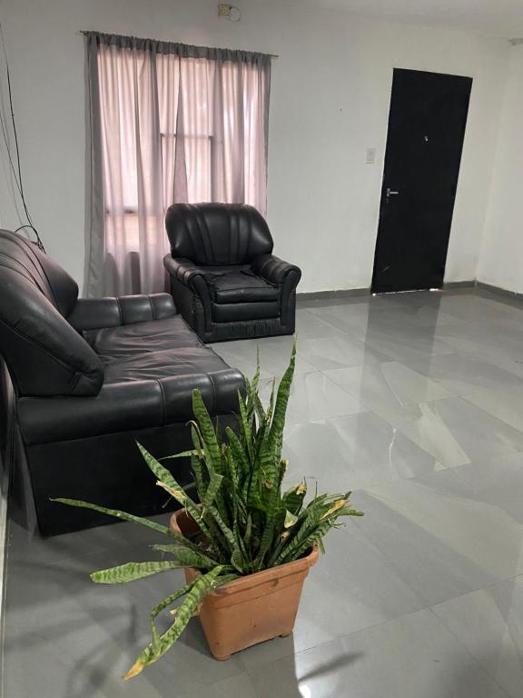 a living room with a couch and a chair and a plant at La Vicenta in Deán Funes